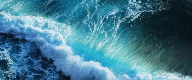 Sea