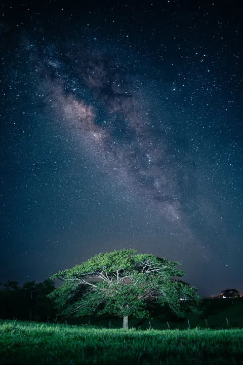 Night Sky