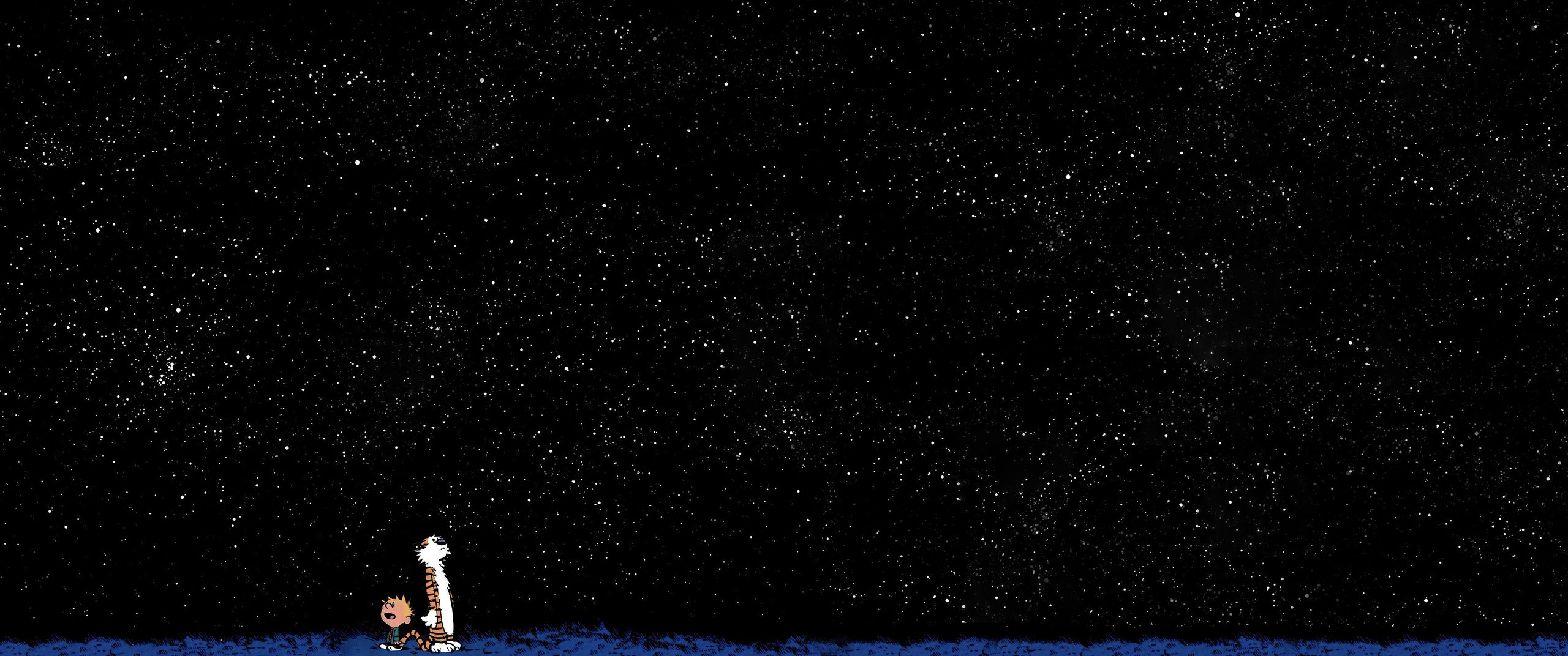 Night Sky
