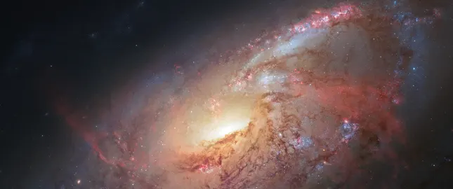 Space Stars