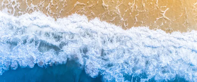 Beach Sea