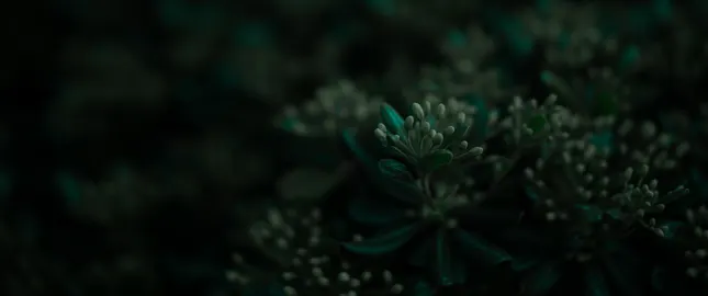 Nature Green