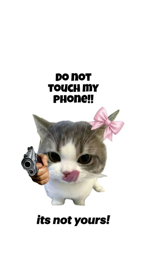 Funny Cat Words