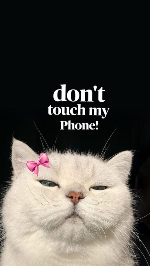 Cat Simple Dark Funny